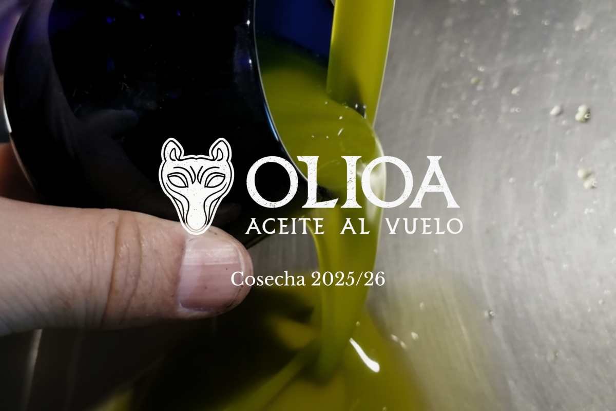 La nueva cosecha OLIOA 2025/2026 ya está en marcha